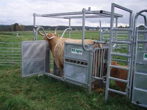 Highland Cattle box, galvad i gruppen Hantering / Behandlingsboxar hos BS Agro AB (311159)